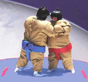 interactive_sumo_suits.jpg